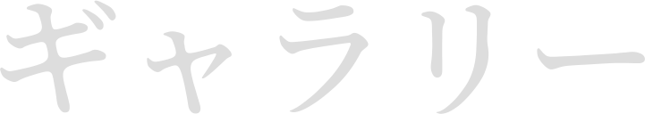 画像ギャラリー